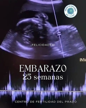 Slider image (3) Centro de Fertilidad del Prado